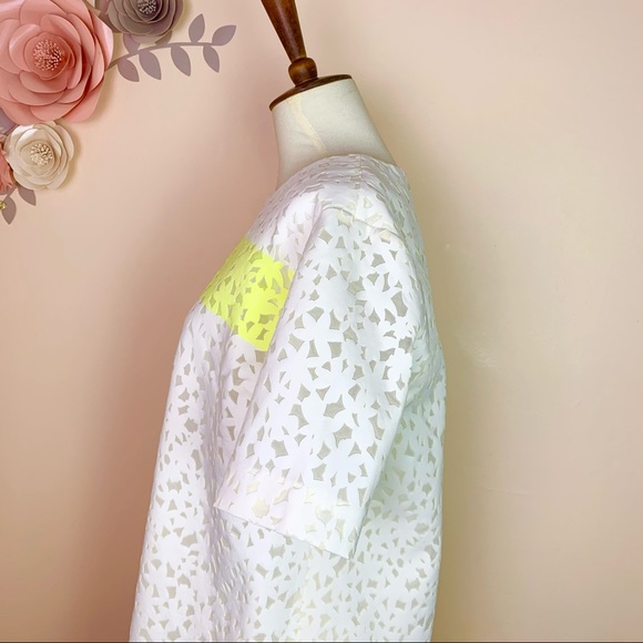 New! ELIZABETH & JAMES Chelle Flocked Shift Dress - Picture 10 of 12